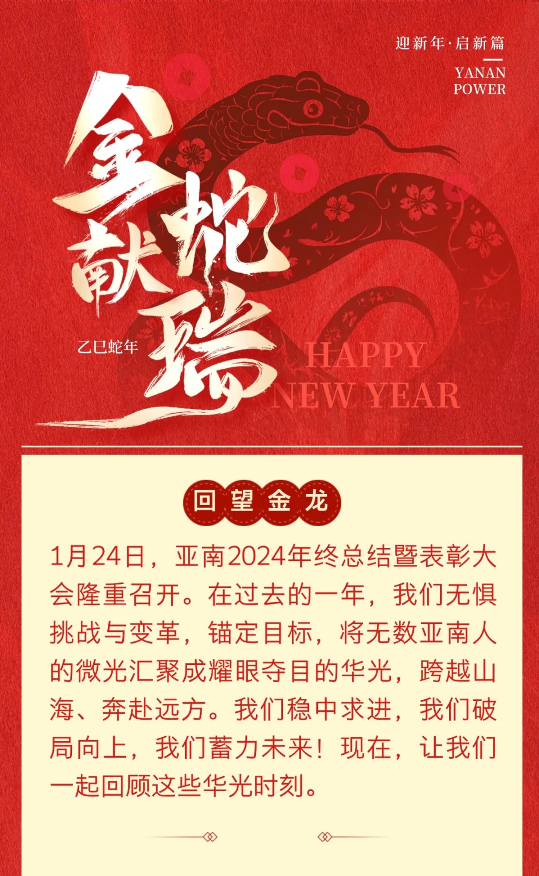 蛇全蛇美，巳巳如意——亚南2024年度总结暨表彰大会召开！